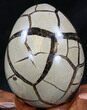 Septarian Dragon Egg Geode - Black Calcite Crystals #34704-3